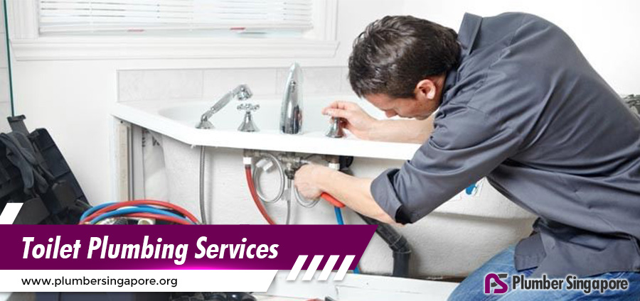 Toilet Plumbing Services