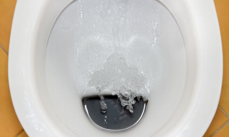 5 Ways To Save Water In Your Toilet 