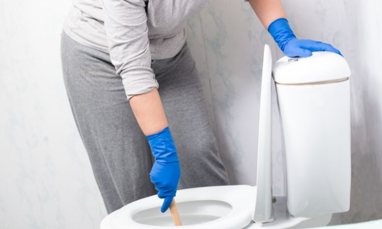 Unclog Your Clogged Toilet Drain